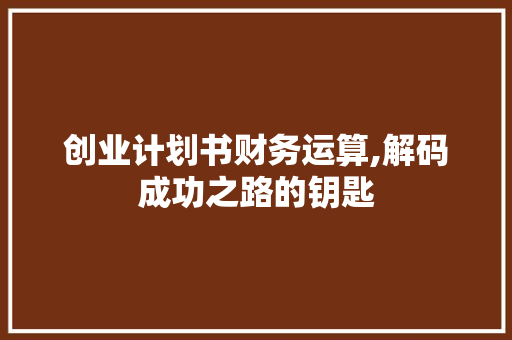 创业计划书财务运算,解码成功之路的钥匙