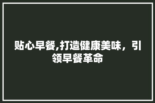 贴心早餐,打造健康美味，引领早餐革命
