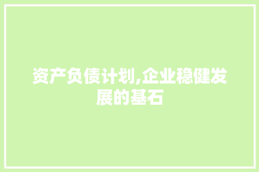 资产负债计划,企业稳健发展的基石