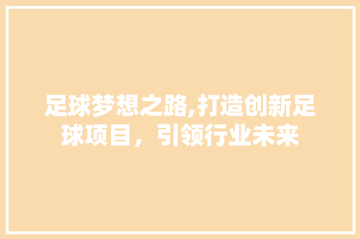 足球梦想之路,打造创新足球项目，引领行业未来