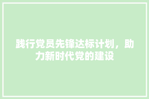 践行党员先锋达标计划，助力新时代党的建设