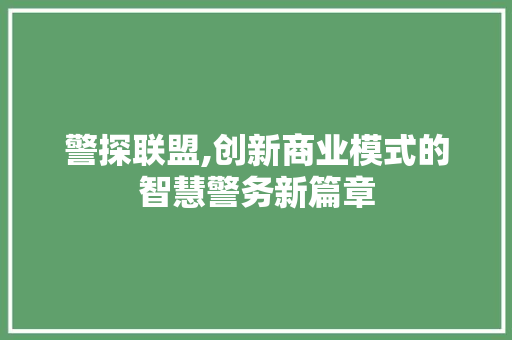 警探联盟,创新商业模式的智慧警务新篇章