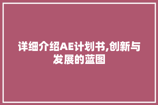 详细介绍AE计划书,创新与发展的蓝图