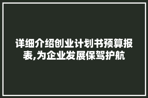 详细介绍创业计划书预算报表,为企业发展保驾护航