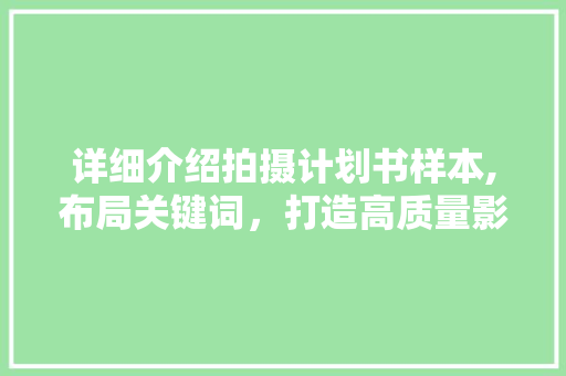 详细介绍拍摄计划书样本,布局关键词，打造高质量影视作品