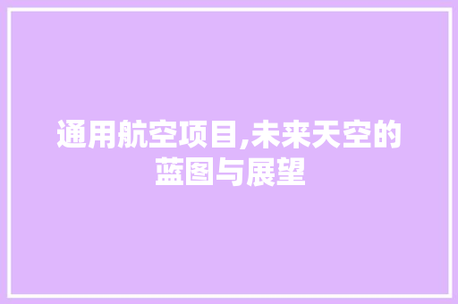 通用航空项目,未来天空的蓝图与展望 生活类