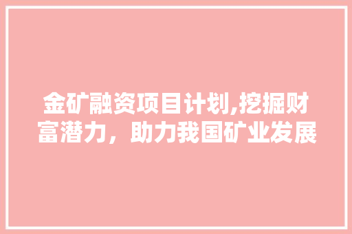 金矿融资项目计划,挖掘财富潜力，助力我国矿业发展