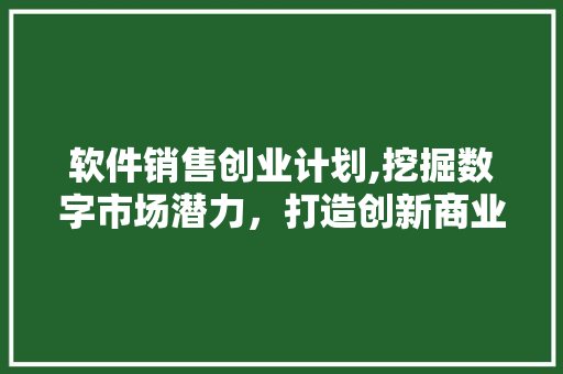 软件销售创业计划,挖掘数字市场潜力，打造创新商业模式 采访稿