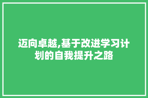 迈向卓越,基于改进学习计划的自我提升之路