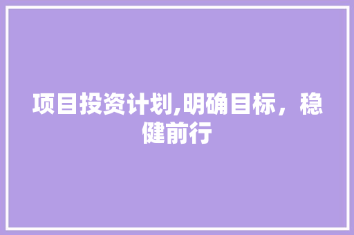 项目投资计划,明确目标，稳健前行