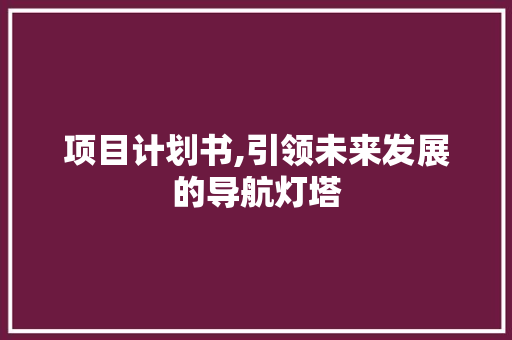 项目计划书,引领未来发展的导航灯塔