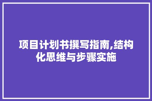 项目计划书撰写指南,结构化思维与步骤实施