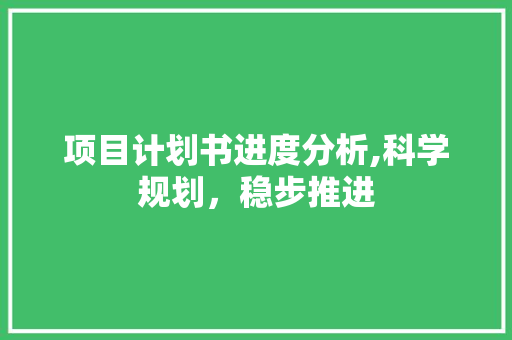 项目计划书进度分析,科学规划，稳步推进