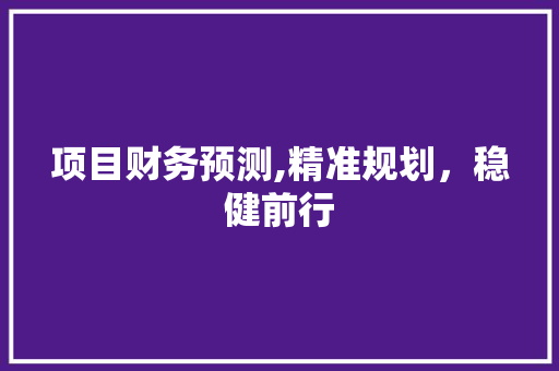 项目财务预测,精准规划，稳健前行