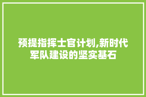 预提指挥士官计划,新时代军队建设的坚实基石
