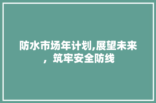 防水市场年计划,展望未来，筑牢安全防线 商业文稿