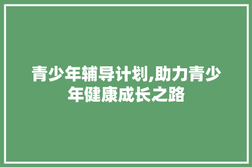 青少年辅导计划,助力青少年健康成长之路