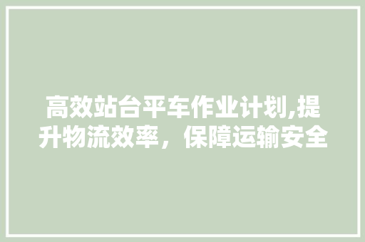 高效站台平车作业计划,提升物流效率，保障运输安全