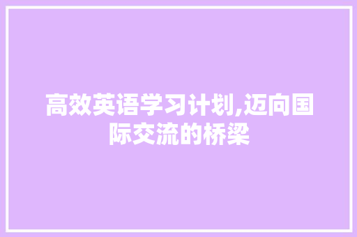 高效英语学习计划,迈向国际交流的桥梁