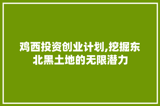 鸡西投资创业计划,挖掘东北黑土地的无限潜力 采访稿
