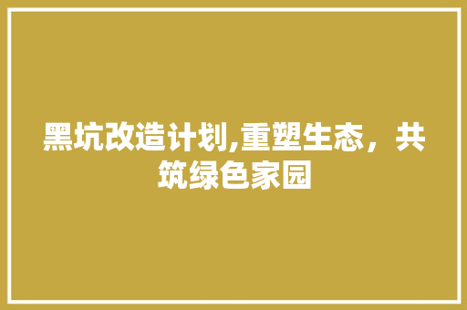 黑坑改造计划,重塑生态，共筑绿色家园