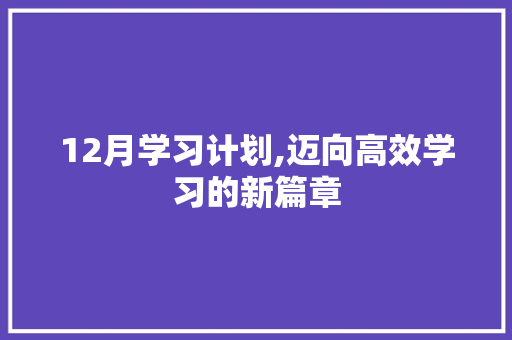 12月学习计划,迈向高效学习的新篇章 采访稿