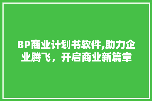 BP商业计划书软件,助力企业腾飞，开启商业新篇章