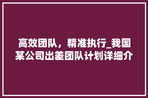 高效团队，精准执行_我国某公司出差团队计划详细介绍