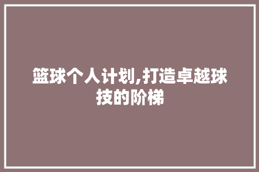 篮球个人计划,打造卓越球技的阶梯