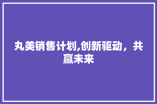 丸美销售计划,创新驱动，共赢未来
