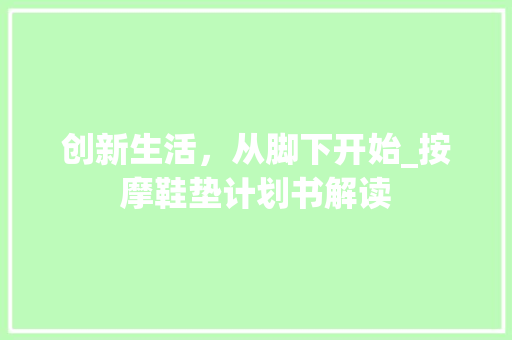 创新生活，从脚下开始_按摩鞋垫计划书解读