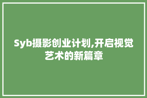 Syb摄影创业计划,开启视觉艺术的新篇章 工作报告