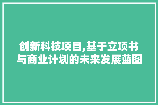 创新科技项目,基于立项书与商业计划的未来发展蓝图