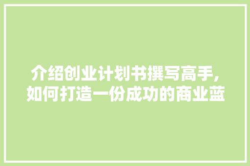 介绍创业计划书撰写高手,如何打造一份成功的商业蓝图 工作报告