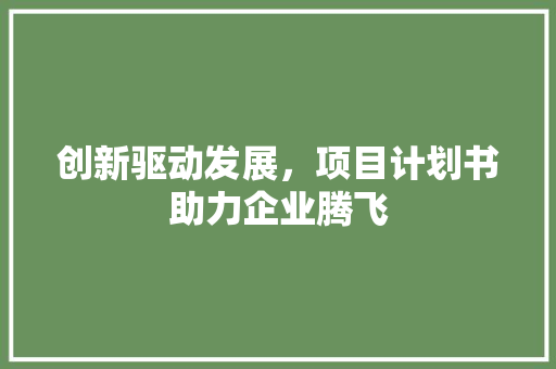 创新驱动发展，项目计划书助力企业腾飞