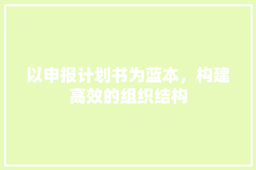 以申报计划书为蓝本，构建高效的组织结构