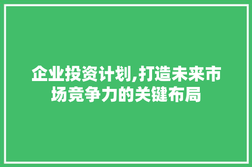 企业投资计划,打造未来市场竞争力的关键布局