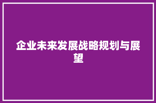 企业未来发展战略规划与展望 采访稿