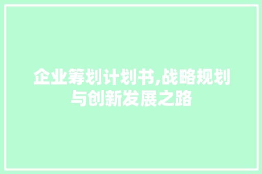 企业筹划计划书,战略规划与创新发展之路