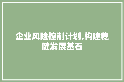 企业风险控制计划,构建稳健发展基石