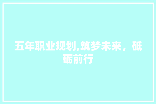 五年职业规划,筑梦未来，砥砺前行