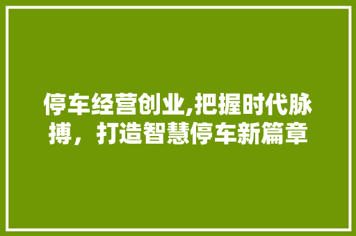 停车经营创业,把握时代脉搏，打造智慧停车新篇章