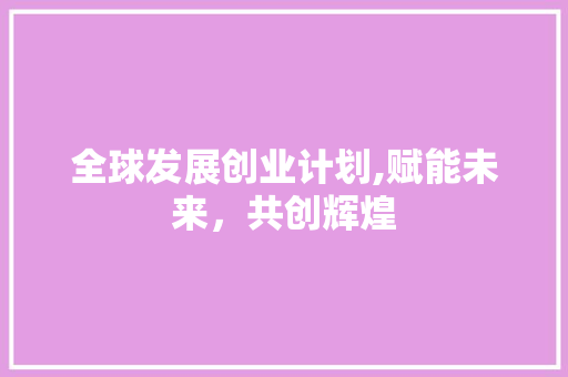 全球发展创业计划,赋能未来，共创辉煌