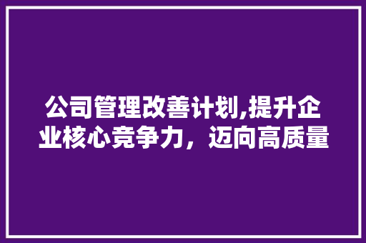 公司管理改善计划,提升企业核心竞争力，迈向高质量发展