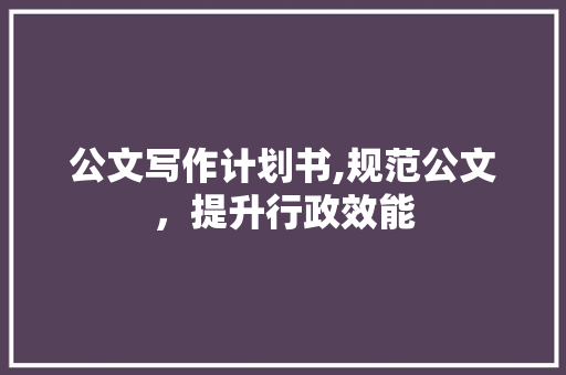 公文写作计划书,规范公文，提升行政效能