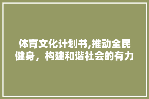 体育文化计划书,推动全民健身，构建和谐社会的有力举措