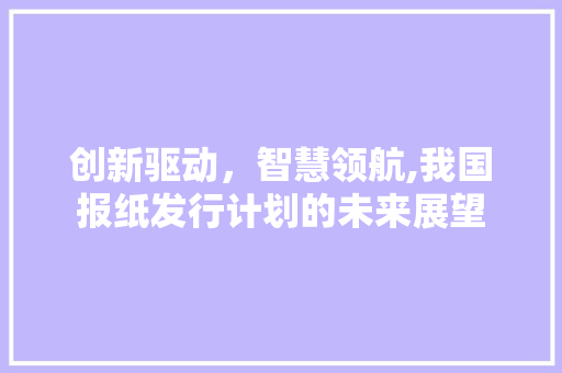 创新驱动，智慧领航,我国报纸发行计划的未来展望