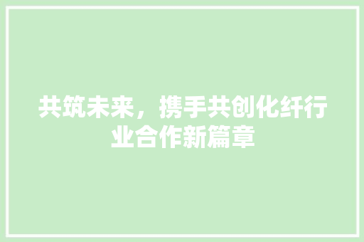 共筑未来，携手共创化纤行业合作新篇章 工作报告