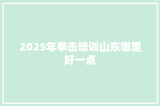 2025年拳击培训山东哪里好一点