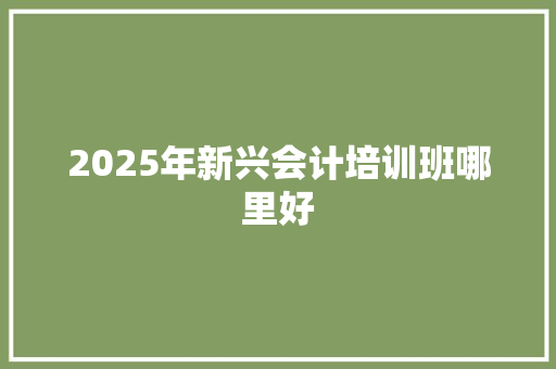 2025年新兴会计培训班哪里好 采访稿